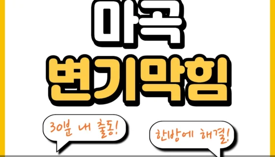 마곡변기막힘