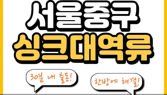 서울중구싱크대역류