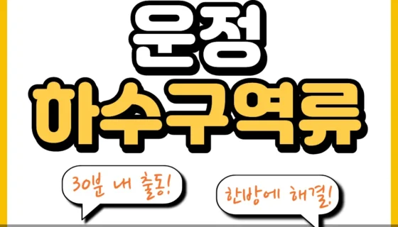 운정하수구역류