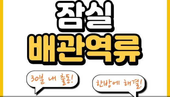 잠실배관역류