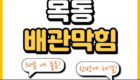 목동배관막힘