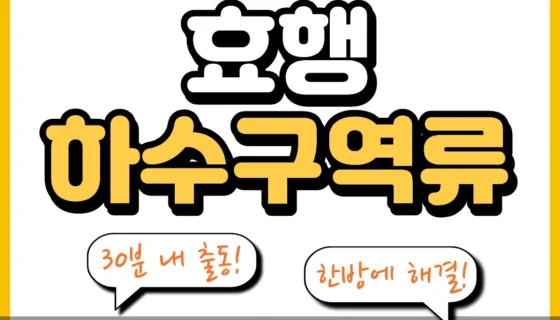 효행하수구역류