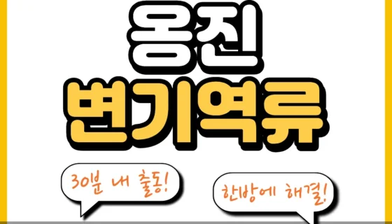 옹진변기역류
