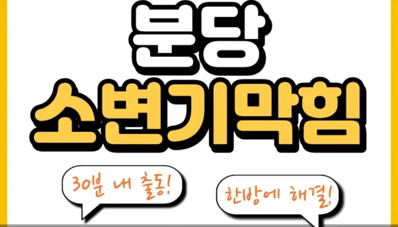 분당소변기막힘
