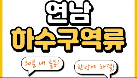 연남하수구역류