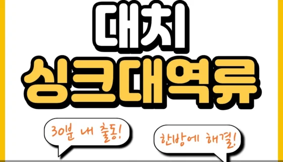 대치싱크대역류