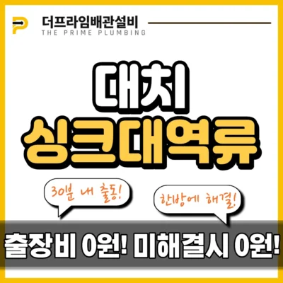 대치싱크대역류