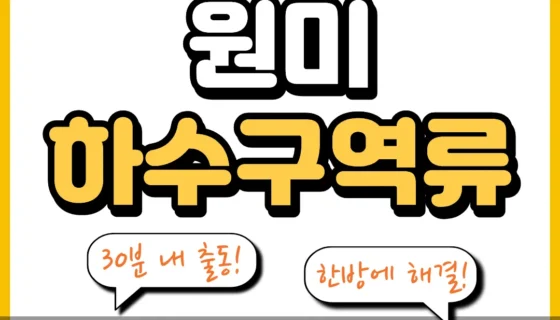 원미하수구역류
