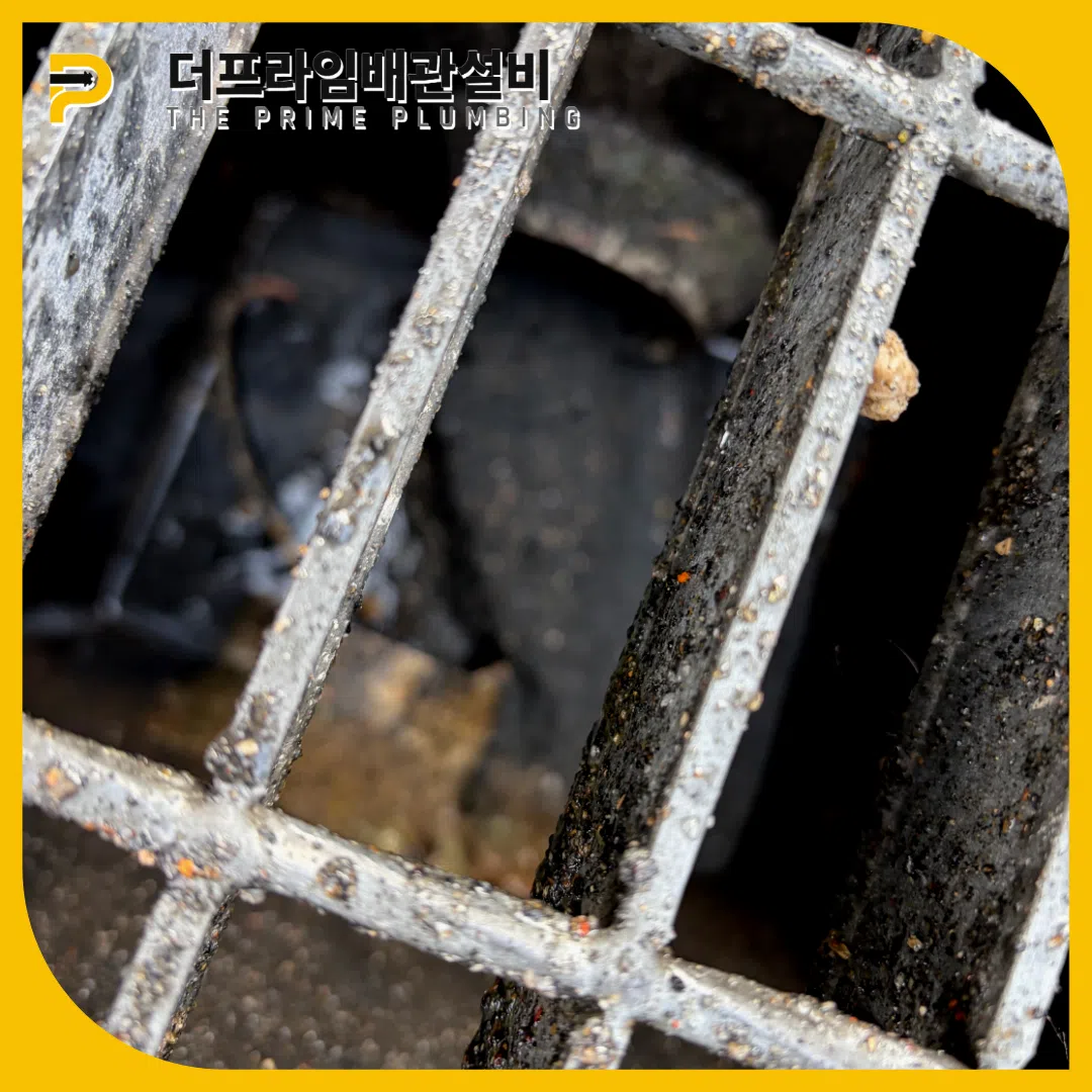 하수구역류