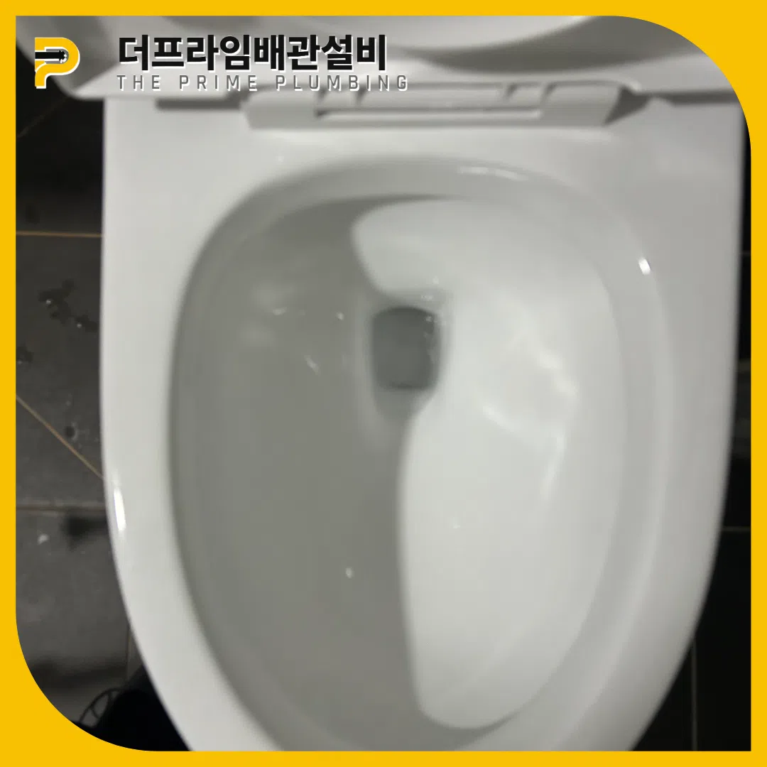 변기역류