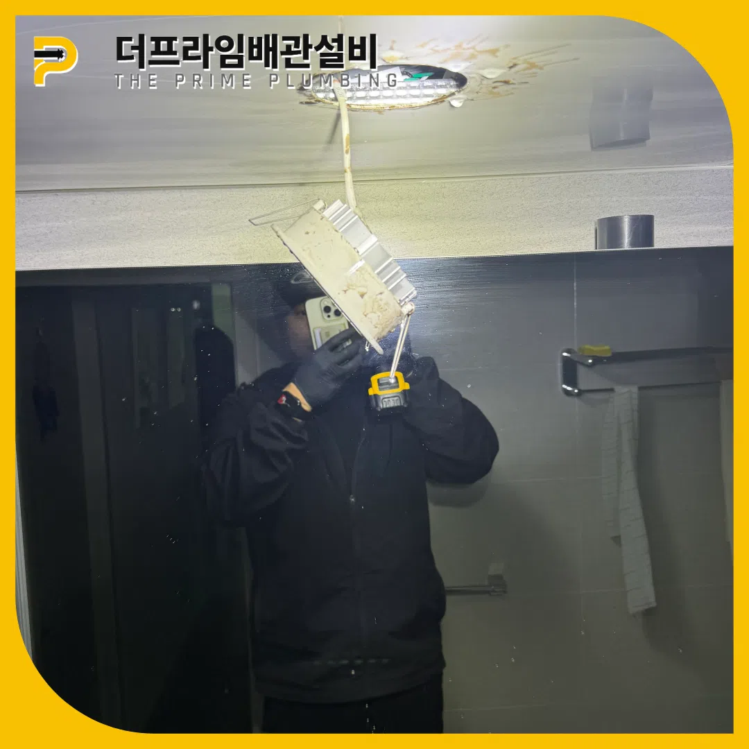 횡주관막힘