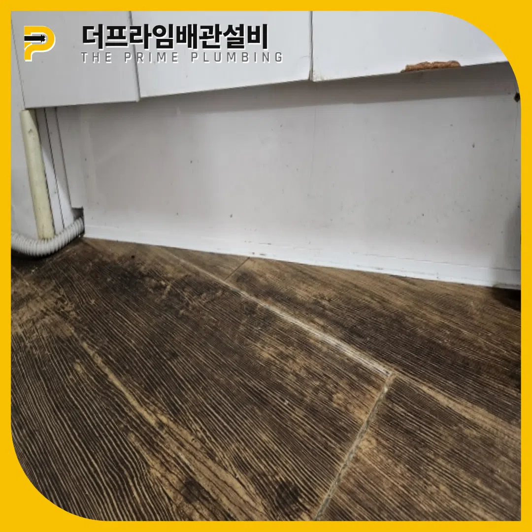 하부장역류