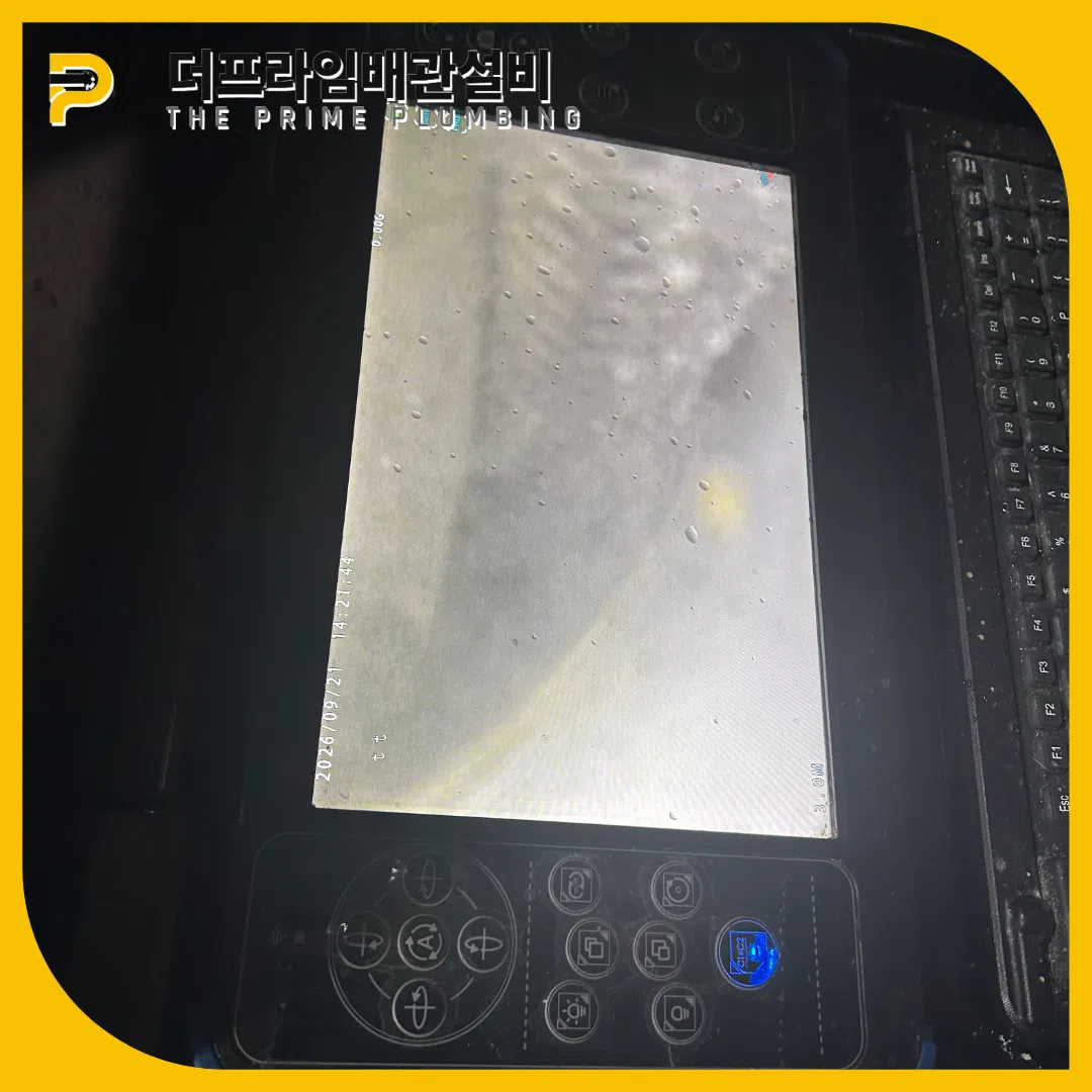 양천변기역류