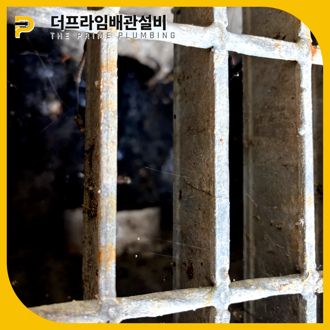 운정하수구역류