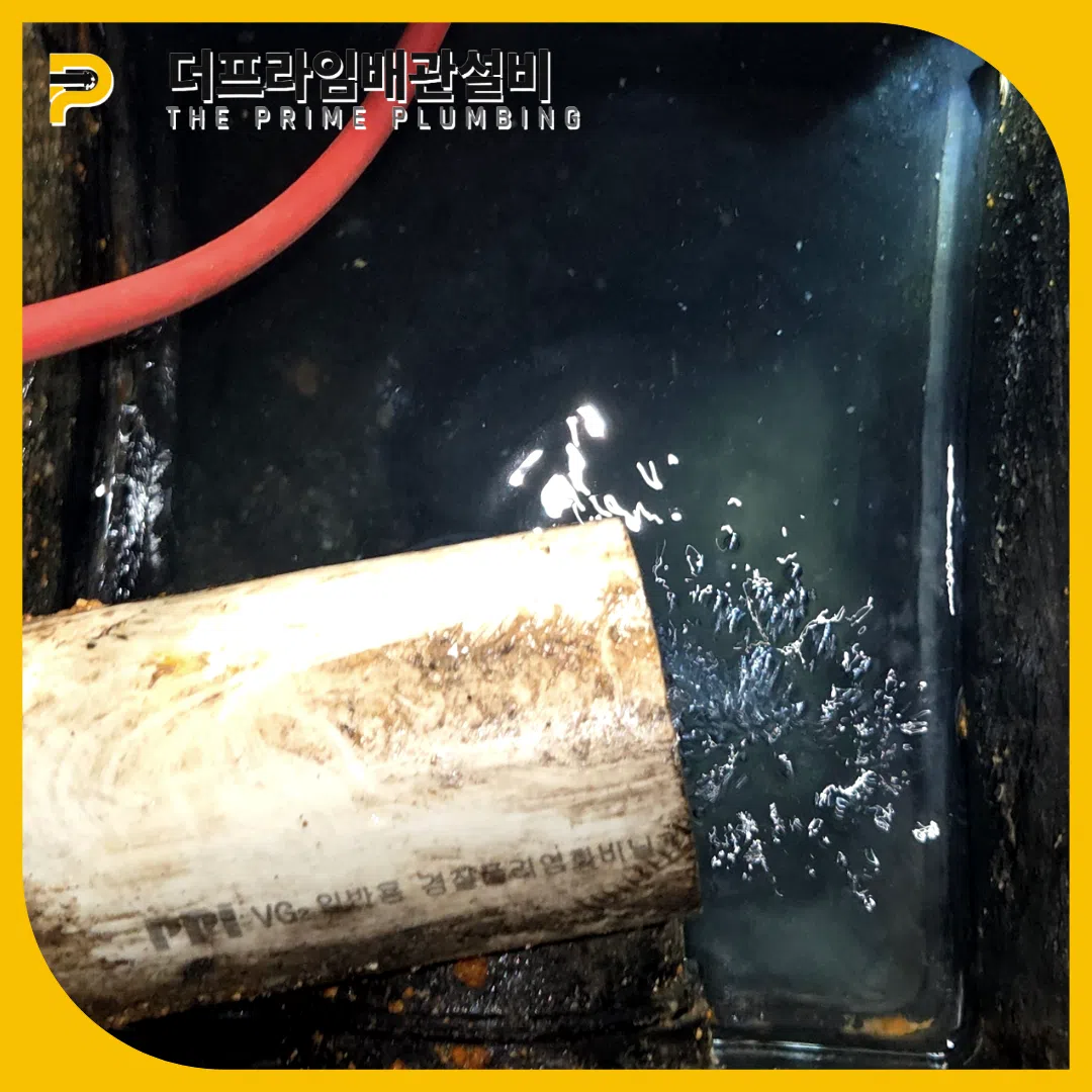 운정하수구역류