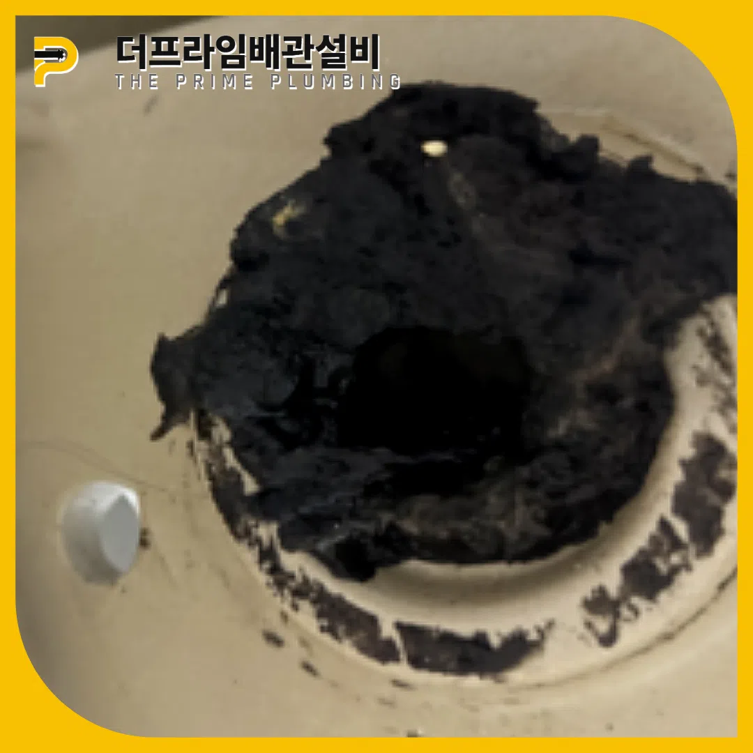 옹진변기역류