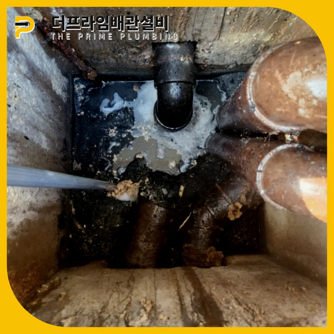 원미하수구역류