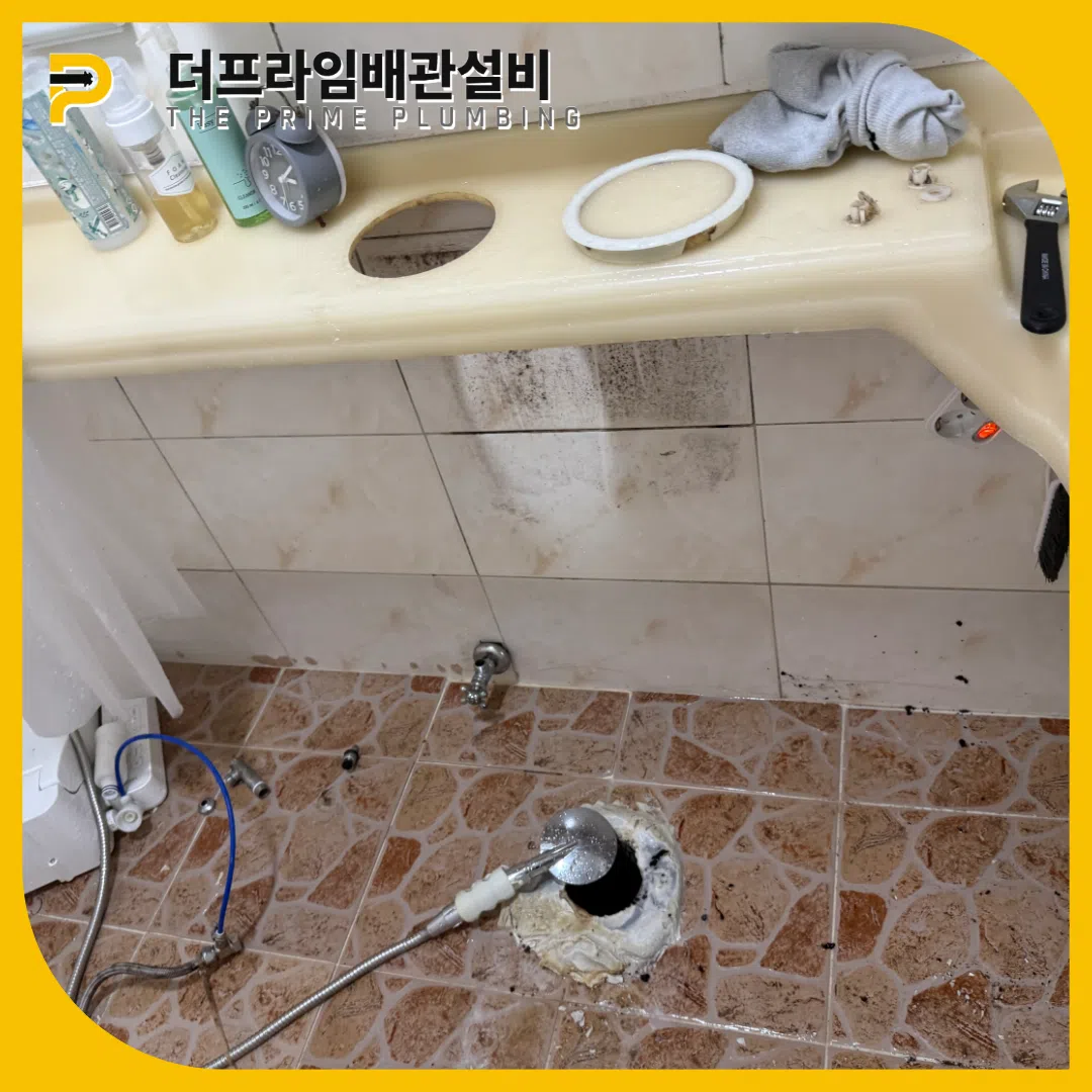 역류원인