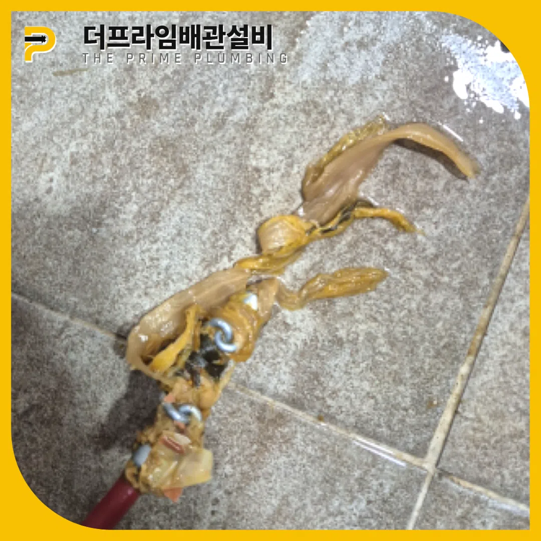 음식물버림