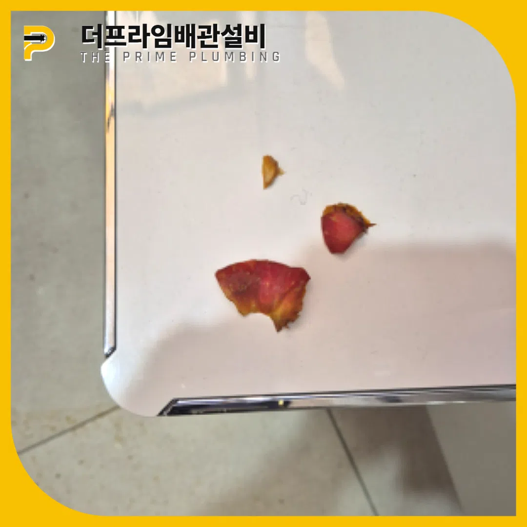 음식물제거