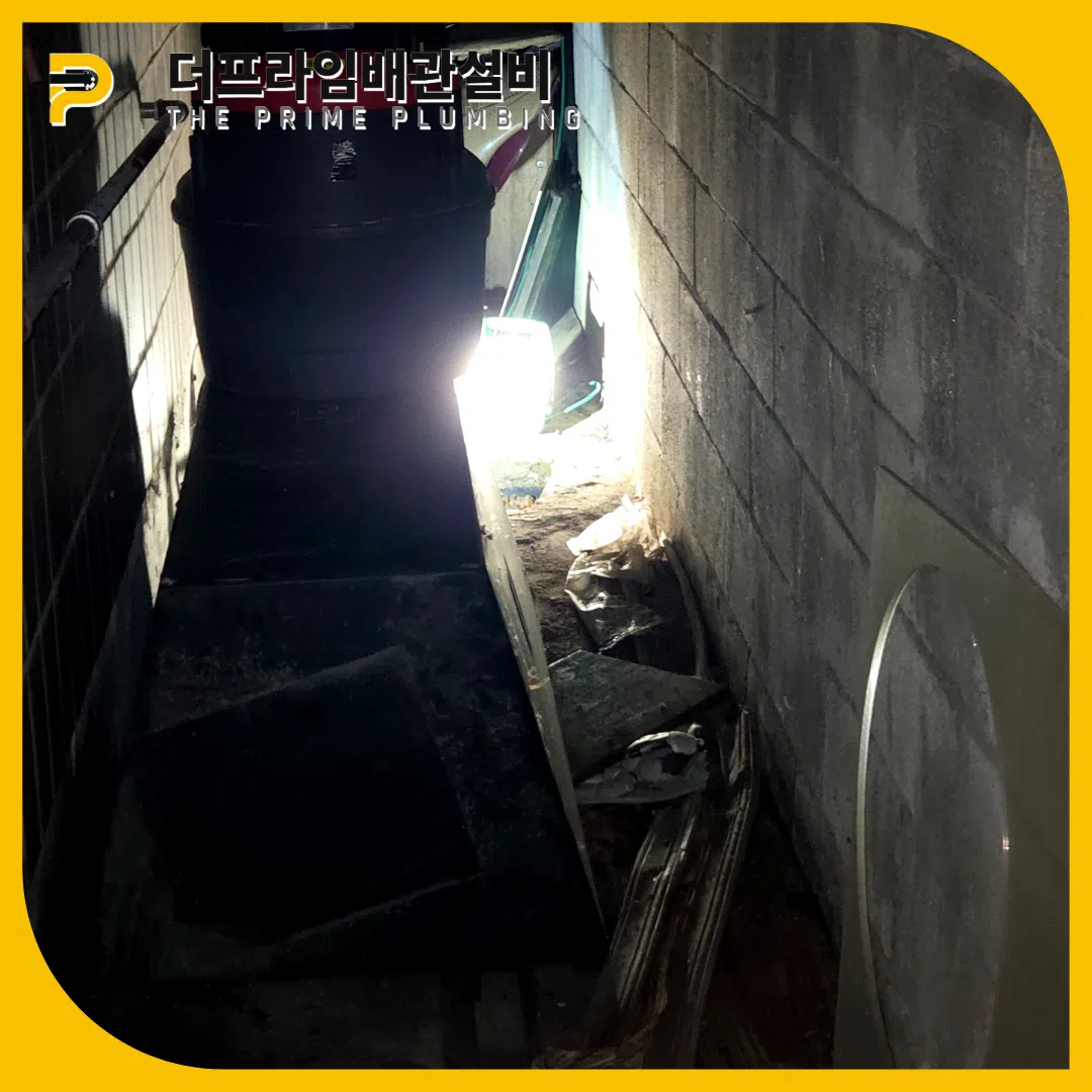운정하수구역류