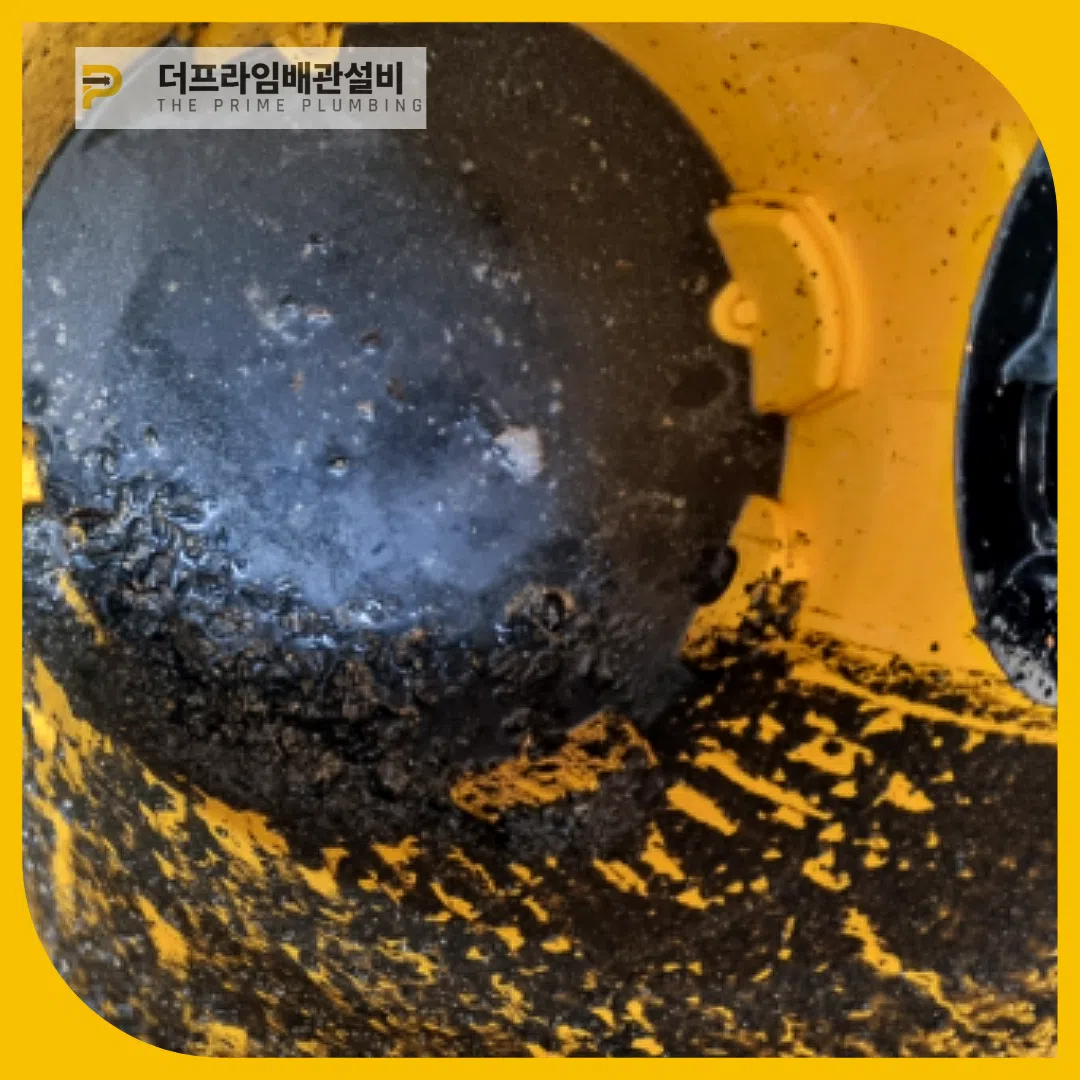 제거업체