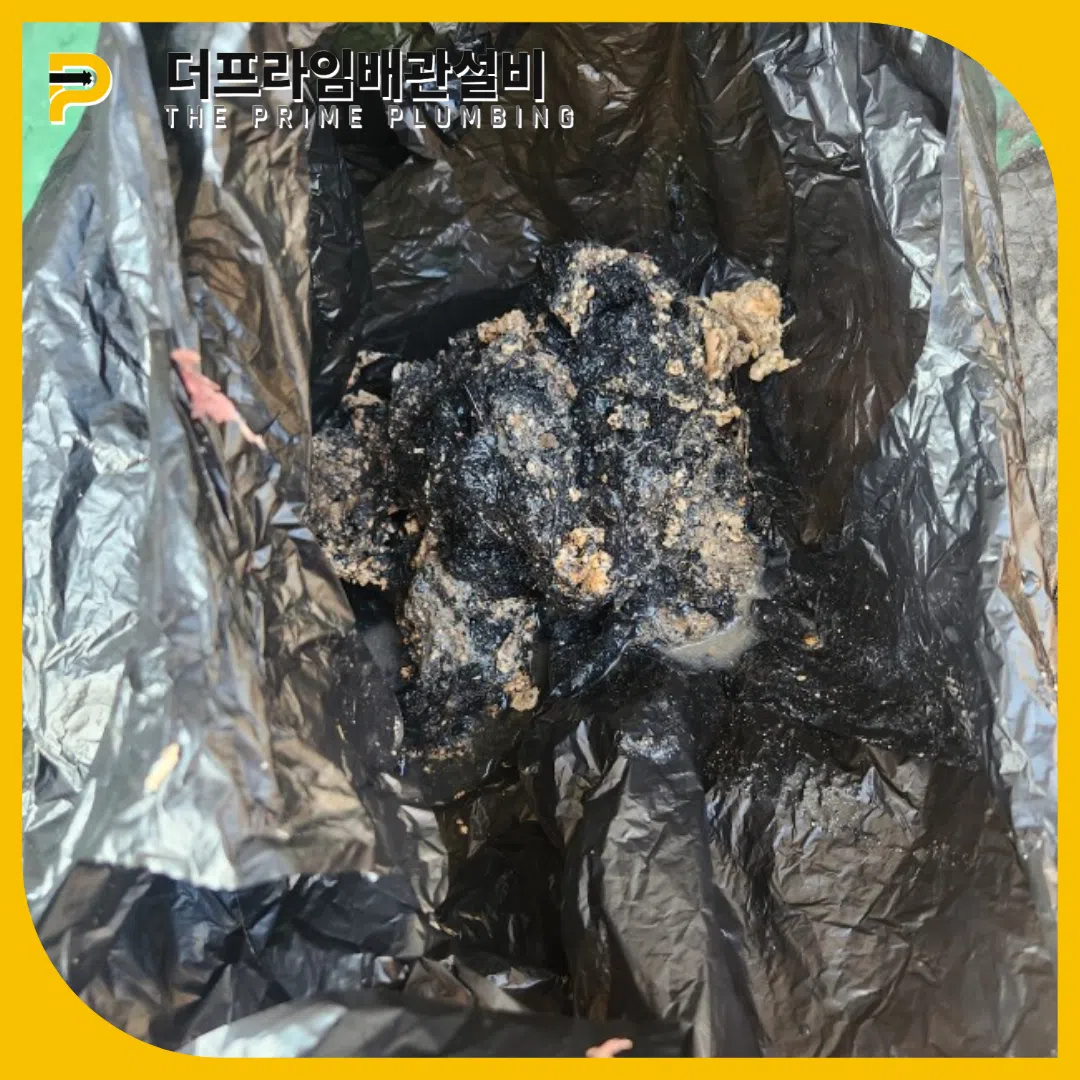 원미하수구역류